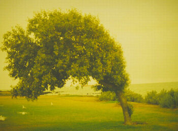 Inspiration Sounds 11