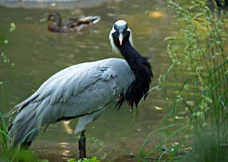 Inspiration Sounds 30