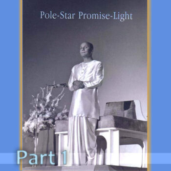 Pole-Star Promise-Light 1