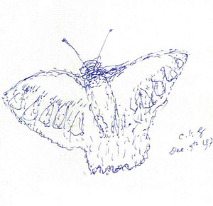 Sri Chinmoy Sings – Volume 5