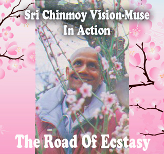 "The Road Of Ecstasy" Sri Chinmoy Vision-Muse In Action