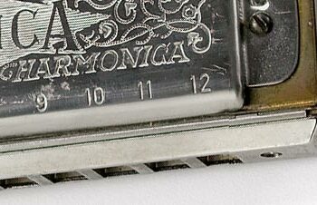 Vinaya Lebenson Plays Harmonica